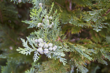 Similar image 6461922