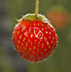 Similar image 6461949