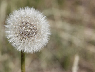 Similar image 6461952