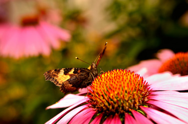 Similar image 6461967