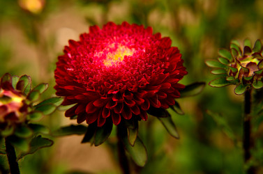 Similar image 6461968