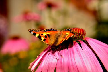 Similar image 6461970