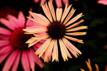 Similar image 6461971