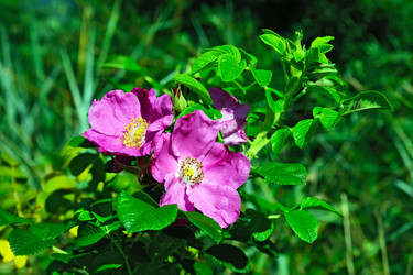 Similar image 6461986