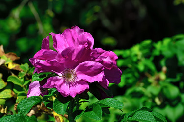 Similar image 6461987