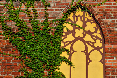 Similar image 6461990