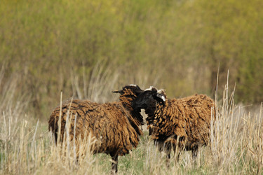 Similar image 6462182