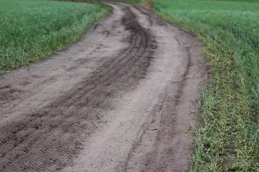 Similar image 6462183