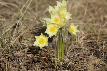 Similar image 6462184