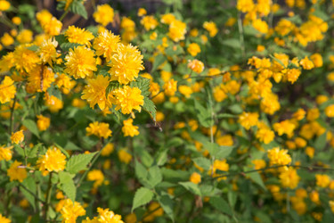 Similar image 6462221