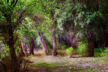 Similar image 6462226