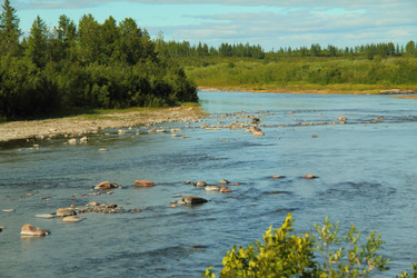 Similar image 6462254