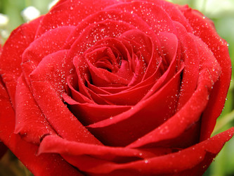 Similar image 6462257