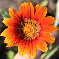 Similar image 6462264