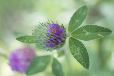 Similar image 6462284