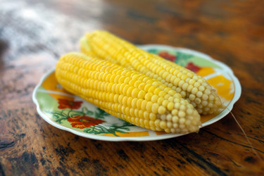 Similar image 6462295