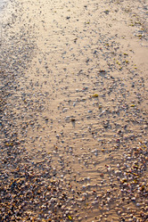 Similar image 6462296