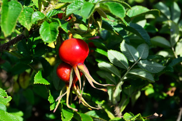 Similar image 6462305