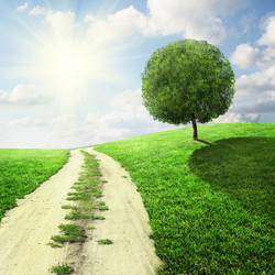 Similar image 6462309