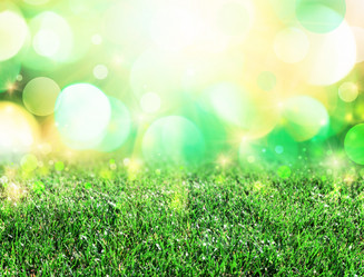 Similar image 6462312