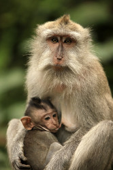 Similar image 6462329