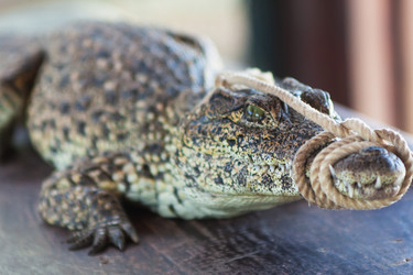 Similar image 6462473