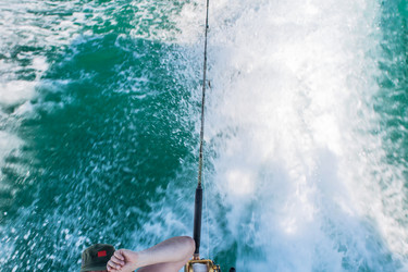 Similar image 6462500