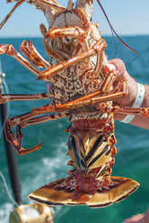 Similar image 6462501