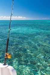 Similar image 6462513