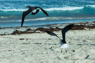 Similar image 6462514