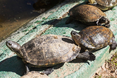 Similar image 6462521