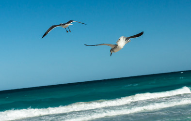 Similar image 6462523