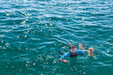 Similar image 6462524