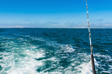 Similar image 6462527