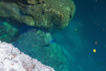 Similar image 6462529