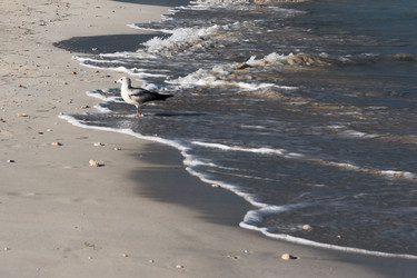 Similar image 6462543