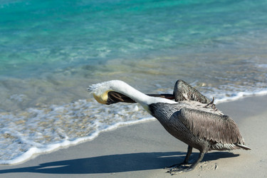 Similar image 6462544