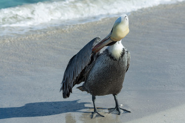 Similar image 6462546