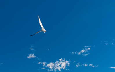 Similar image 6462547