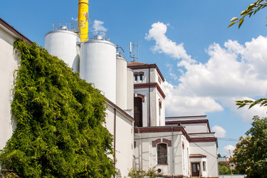 Similar image 6462554