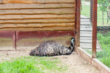 Similar image 6462556