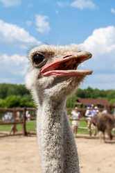 Similar image 6462557