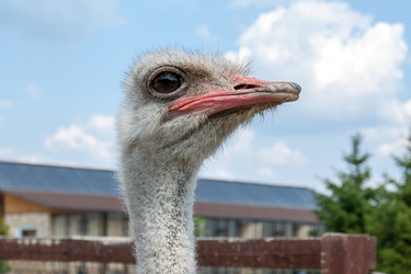 Similar image 6462558