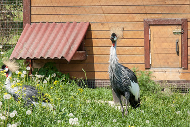 Similar image 6462561