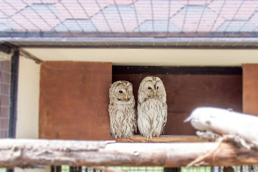 Similar image 6462569