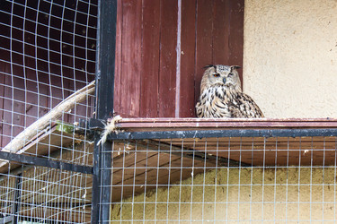 Similar image 6462570