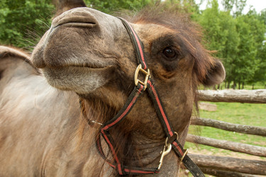 Similar image 6462572