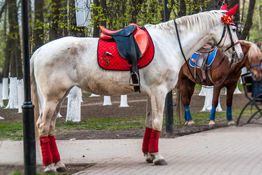 Similar image 6462573