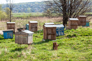 Similar image 6462574