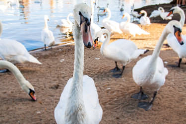 Similar image 6462575